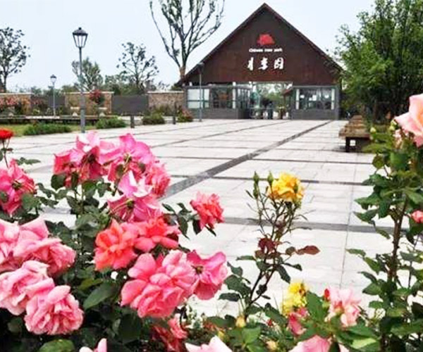 蘇州團建目的地推薦：歷史與現(xiàn)代交織，團隊共筑美好記憶